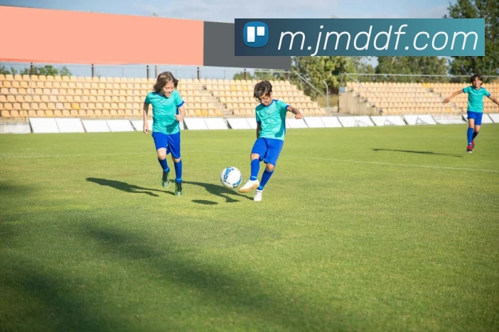 多媒体互动体验